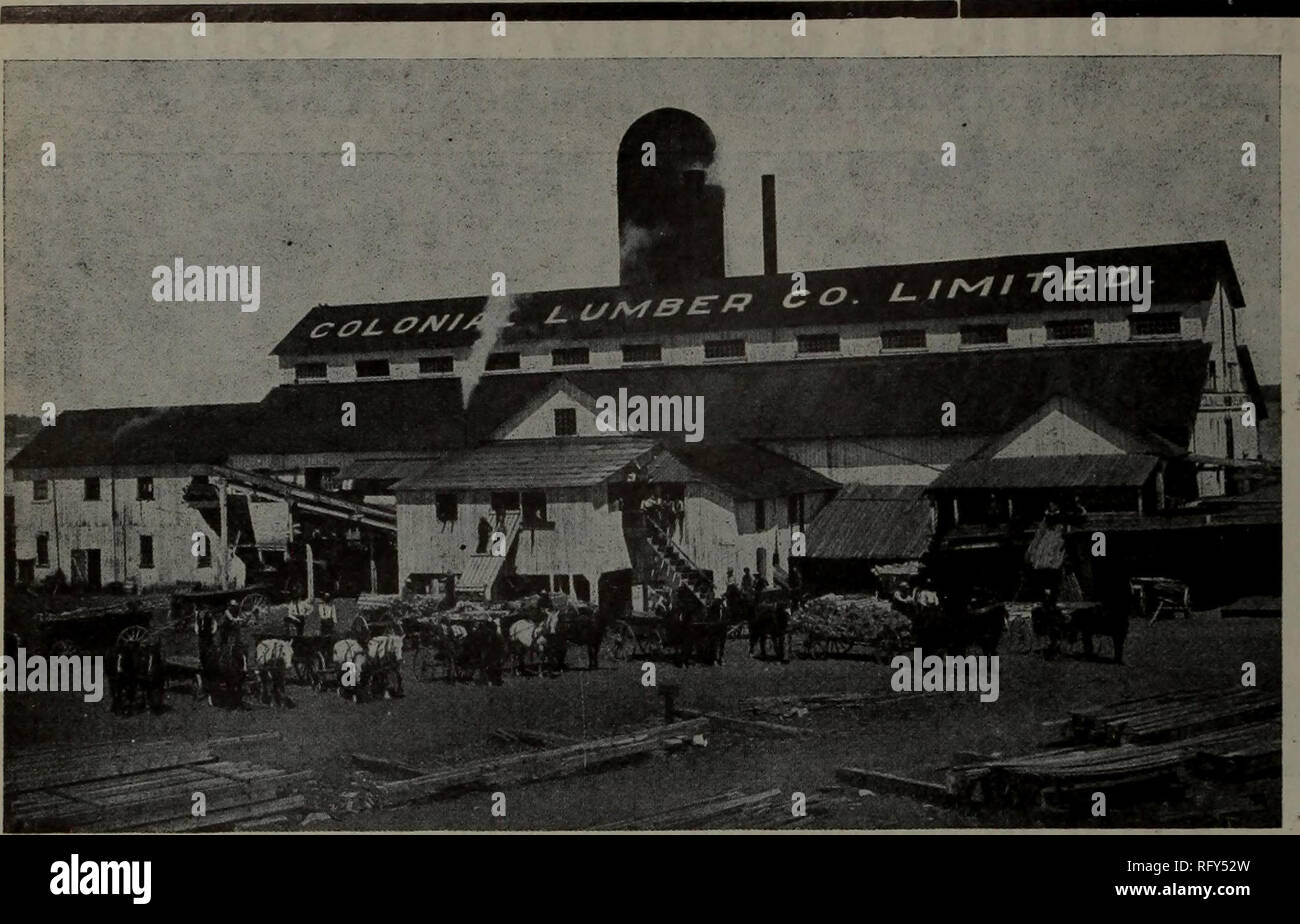 Canadian Forest Industries 1911 Lumbering Forests And Forestry Forest Products Wood Pulp Industry Wood Using Industries