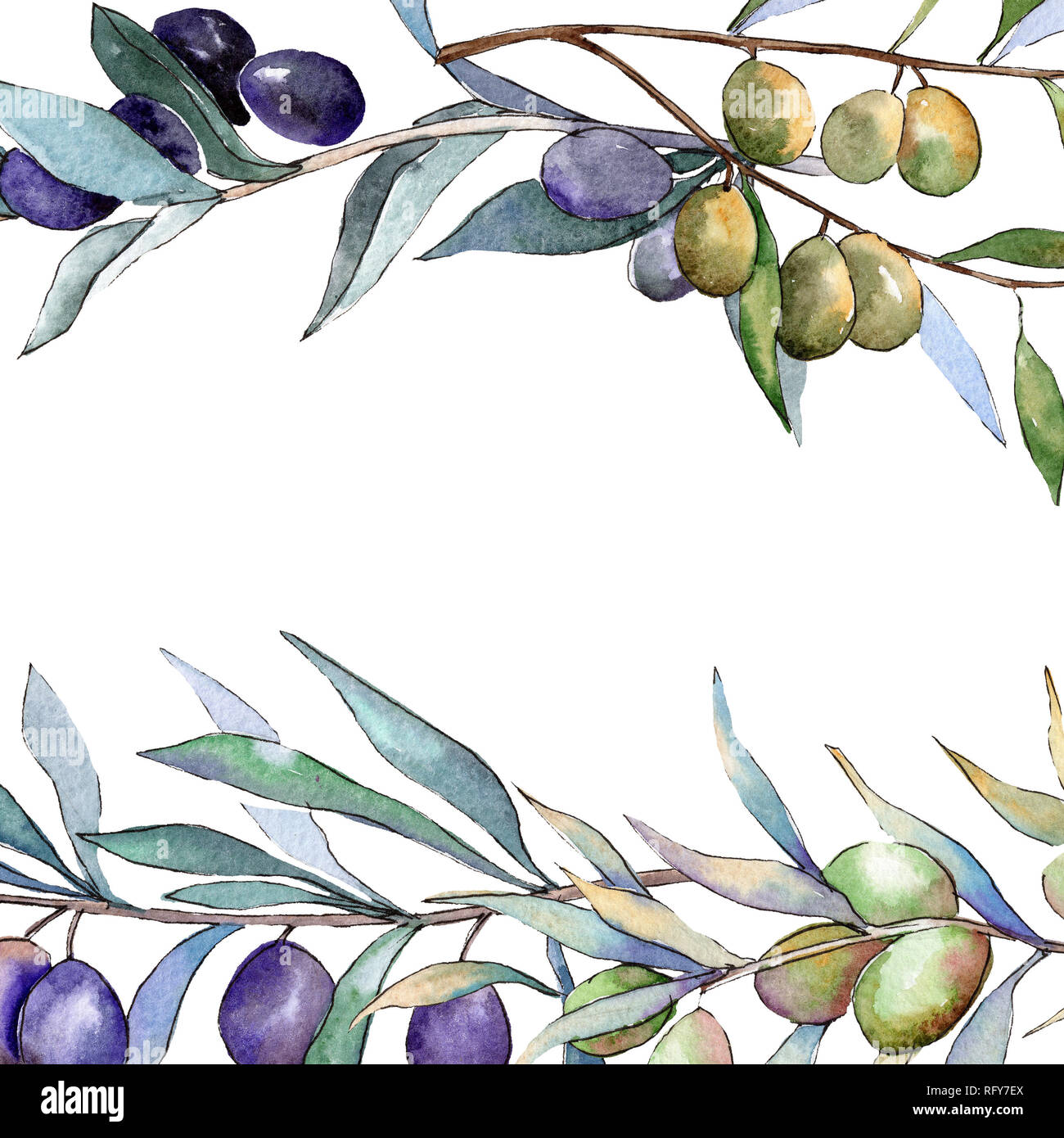 Green and black olives. Watercolor background illustration set. Frame ...