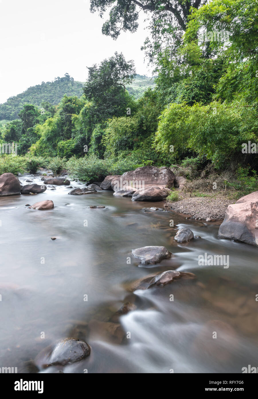 Mountain river flowing through the green forest Stock Photo - Alamy