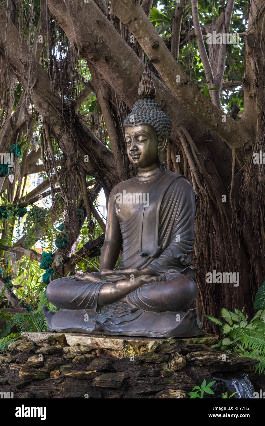 Buddha statue under bodhi tree hires stock photography and images Alamy