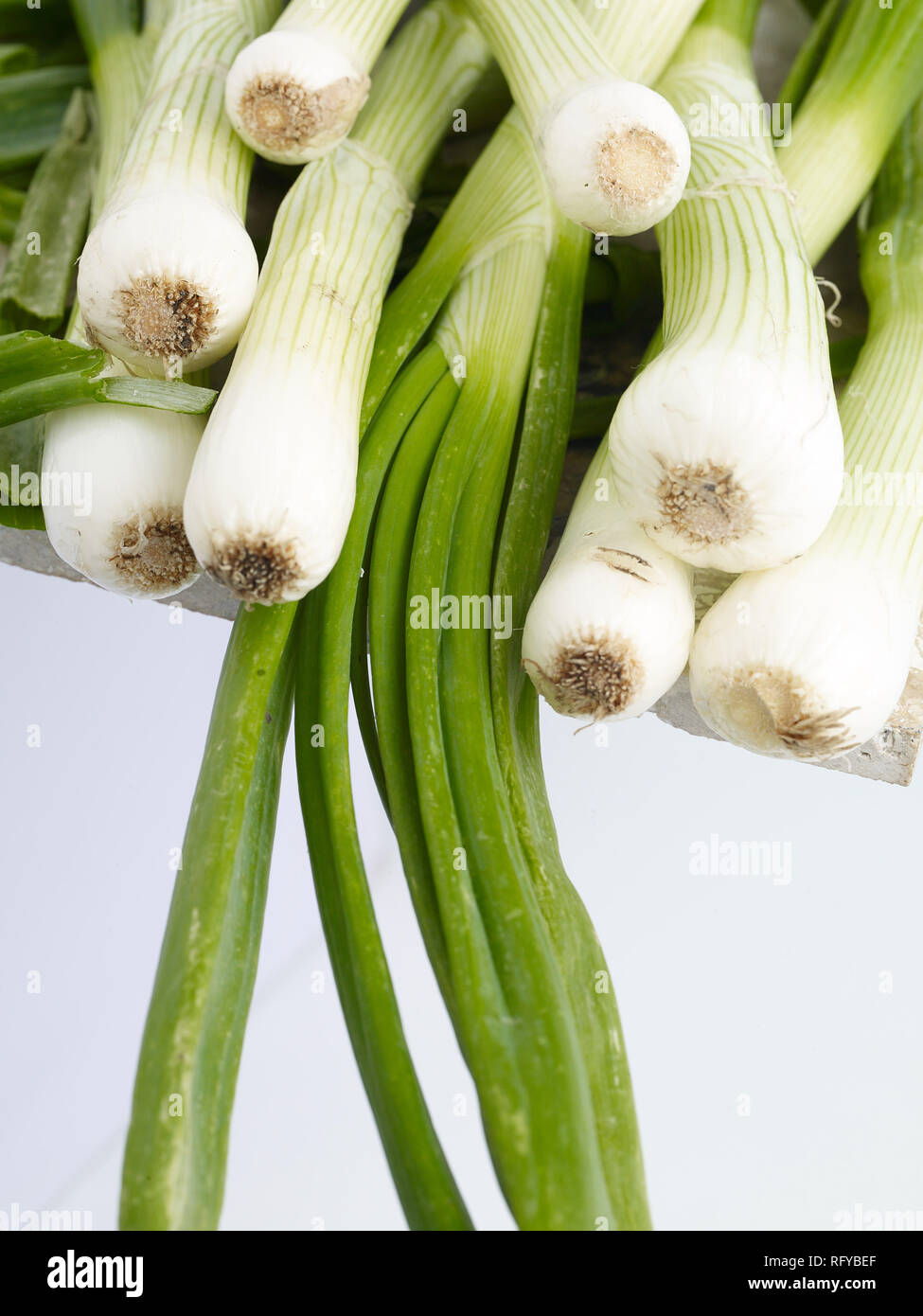 Spring onions, scallion, vegetable food still-life photograph Stock ...