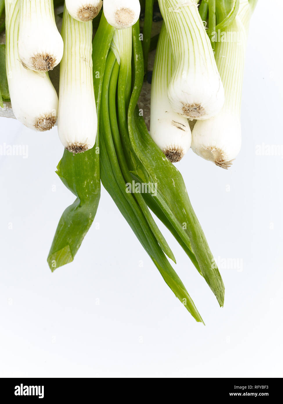 Spring onions, scallion, vegetable food still-life photograph Stock Photo