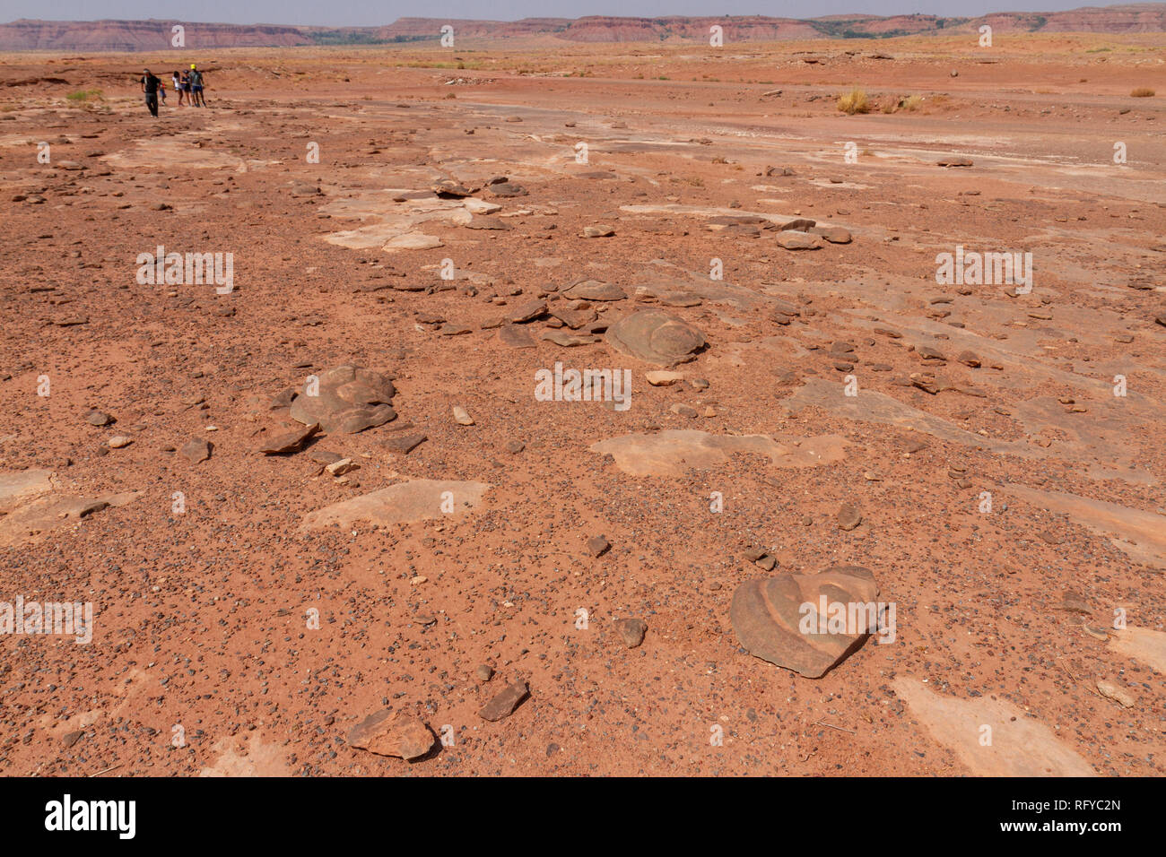 General view across the Moenkopi Dinosaur Tracks site near Tuba City