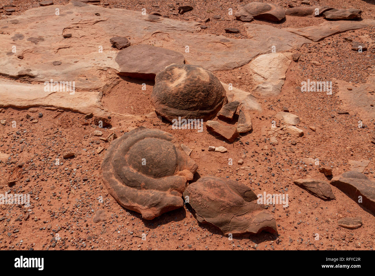 Geological concretions, Moenkopi Dinosaur Tracks site near Tuba City, Arizona, United States. Stock Photo