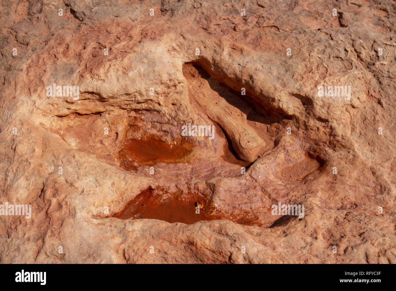 Close up of three toed dinosaur tracks at the Moenkopi Dinosaur Tracks site near Tuba City, Arizona, United States. Stock Photo