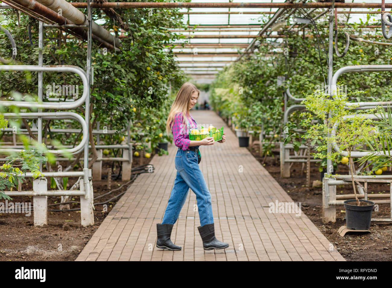 Tropical greenhouse girl hi-res stock photography and images - Alamy