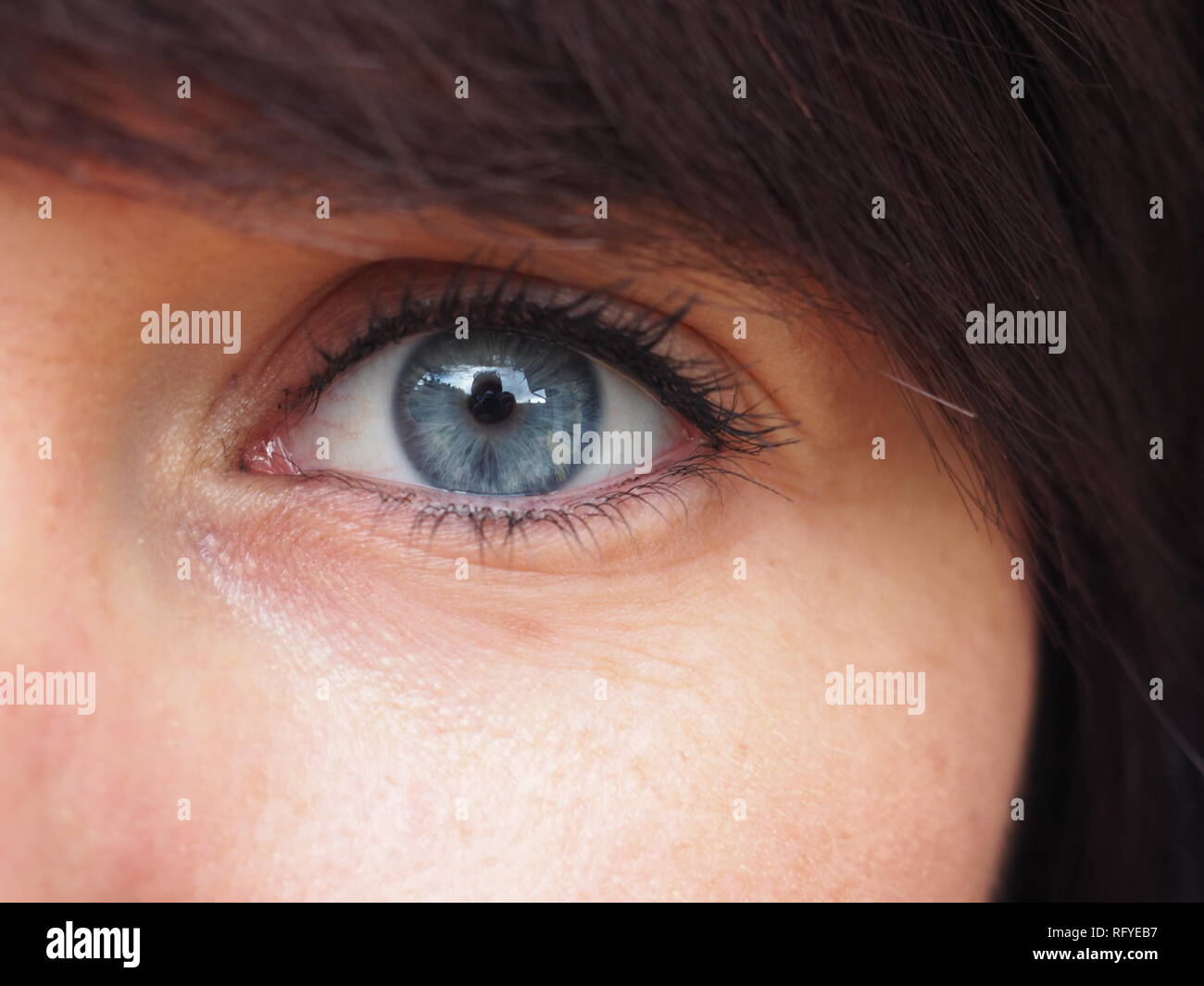 Detail of a woman's blue eye Stock Photo