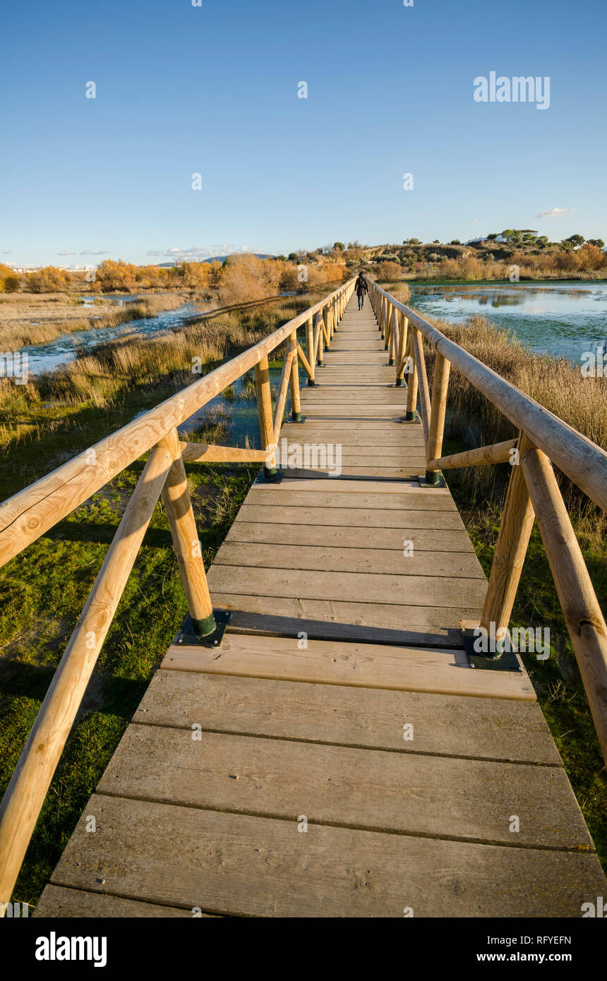 Fuente de Piedra, wooden walkway at nature reserve, wetland area, salt water lagoon, Malaga, Spain. Stock Photo