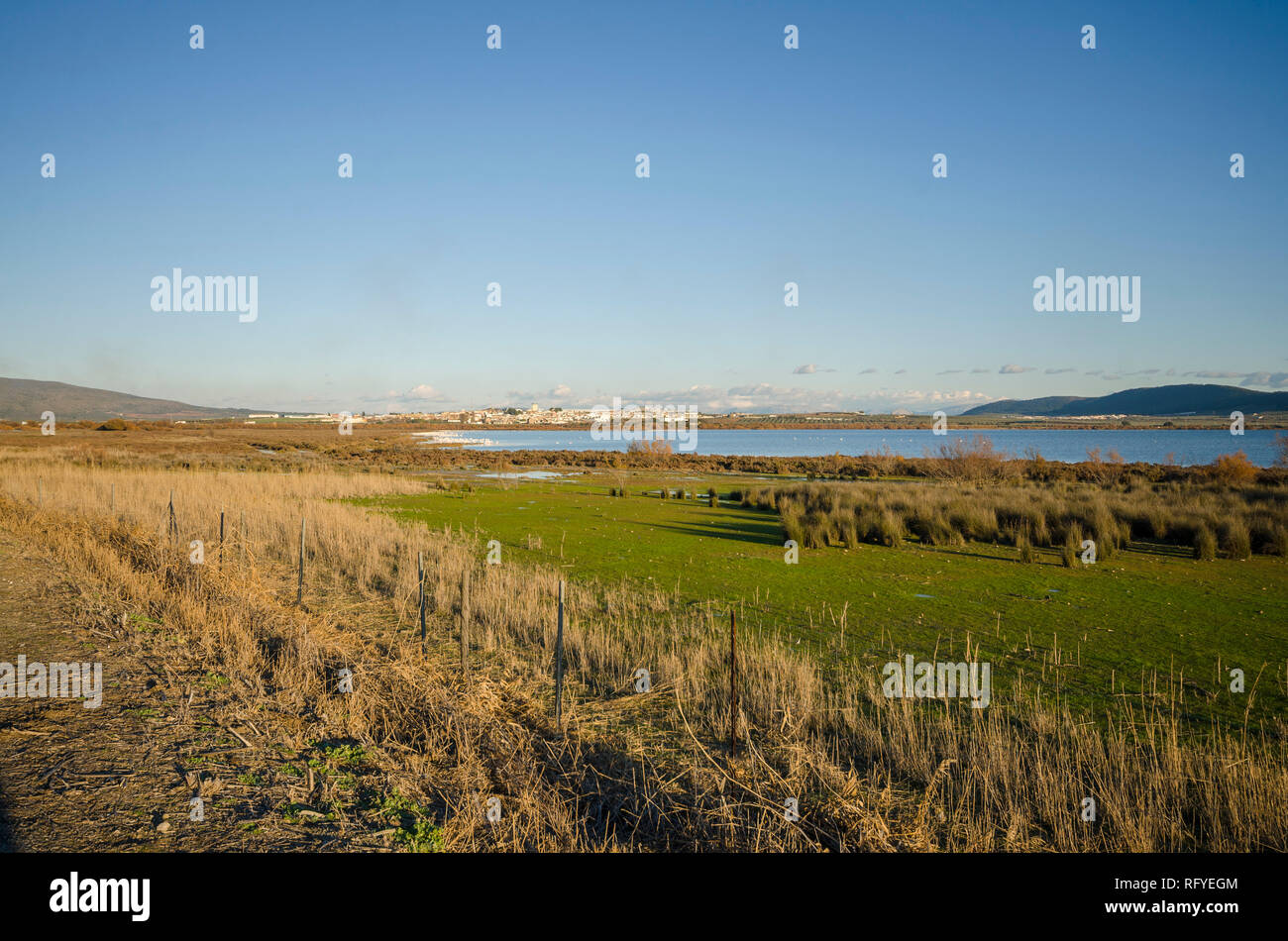 Fuente de Piedra, nature reserve, wetland area, salt water lagoon, Malaga, Spain. Stock Photo