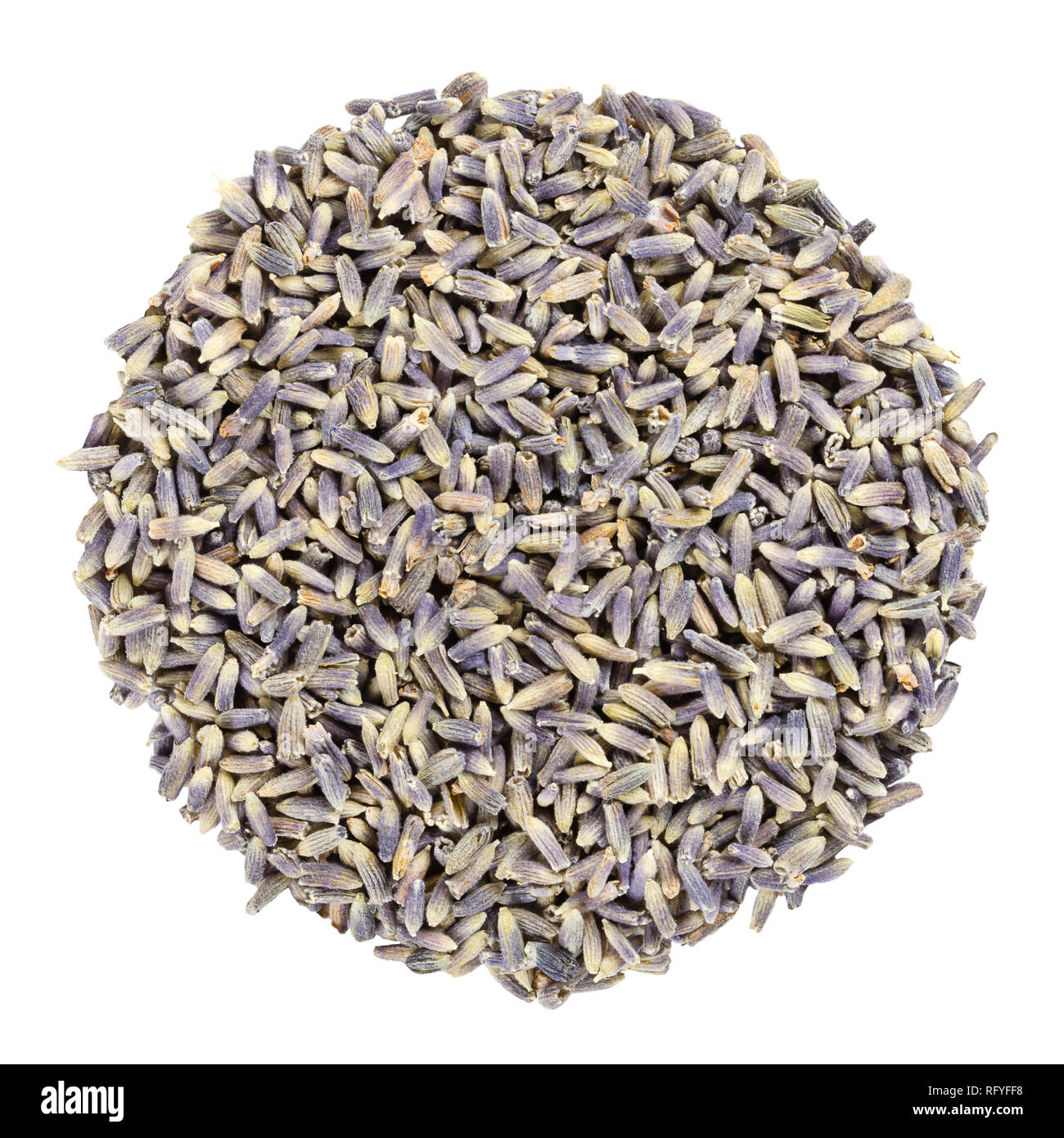 Dried lavender blossoms, herb circle from above, isolated, over white. Disc made of Lavandula angustifolia, with pale purple flowers, used as herb. Stock Photo