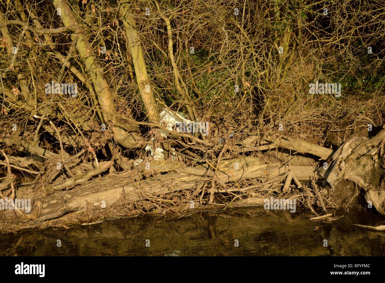 river mole, norbury park, surrey Stock Photo Alamy