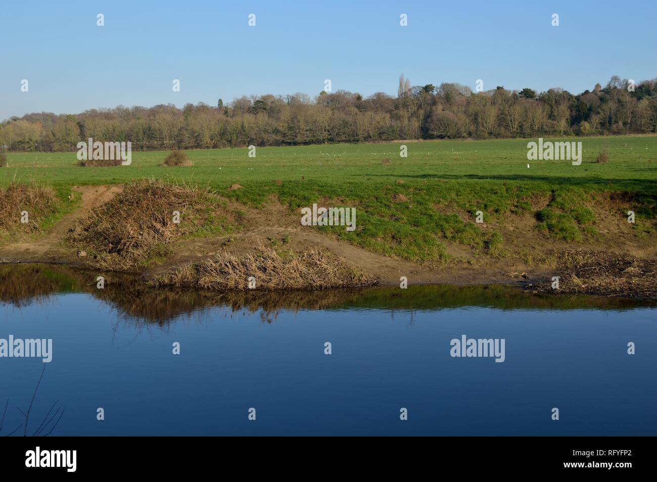 river mole, norbury park, surrey Stock Photo Alamy