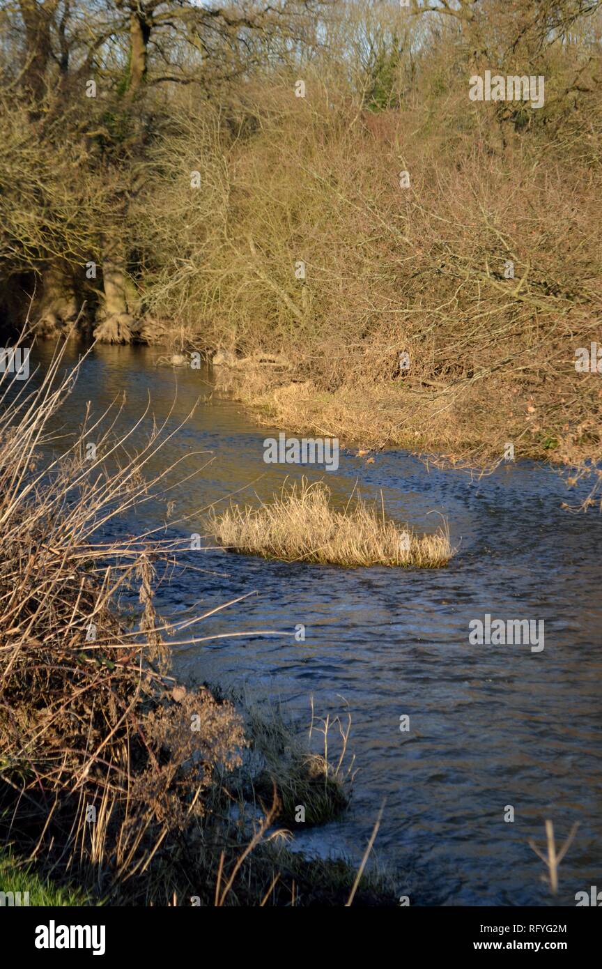river mole, norbury park, surrey Stock Photo Alamy