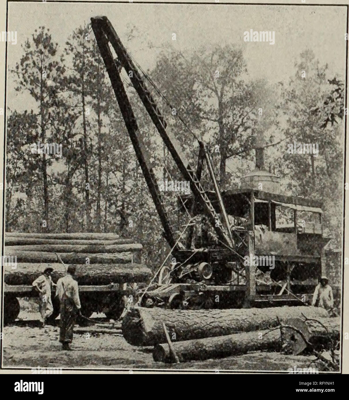 Canadian Forest Industries January June 1912 Lumbering Forests And Forestry Forest Products Wood Pulp Industry Wood Using Industries Canada Lumberman And Woodworker Current Lumber Prices Continued No 2 Cuts 6 4 45 00 No 2 Cuts