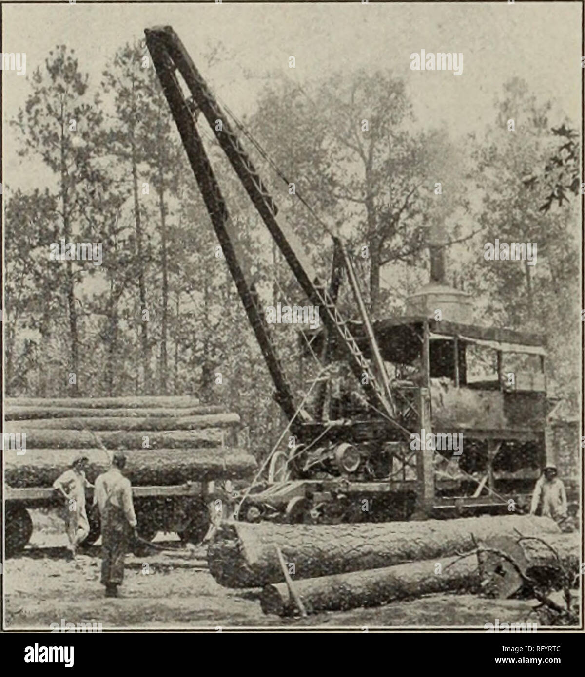. Canadian forest industries January-June 1912. Lumbering; Forests and forestry; Forest products; Wood-pulp industry; Wood-using industries. &lt;• CANADA LUMBERMAN AND WOODWORKER CURRENT LUMBER PRICES Continued No. 2 Cuts (5/4 45 00 No. 2 Cuts N/4 50 00 No. If Cuts 5/4 33 00 No. .&quot;! Cuts G/4 34 00 No. 3 Cuts 8/4 30 00 Dressing 5/4 46 00 Dressing 5/4 x 10 51 00 Dressing 5/4 x 12 52 00 No. 1 Moulding 5/4 58 00 No. 1 Moulding 0/4 58 00 No. 1 Moulding 8/4 58 00 No. 2 Moulding 5/4 47 00 No. 2 Moulding G/4 47 On No. 2 Moulding 8/4 47 00 No. 1 Barn 1 x 12 40 00 No. 1 Barn 1 x 6 and 8 34 00 No. 1 Stock Photo