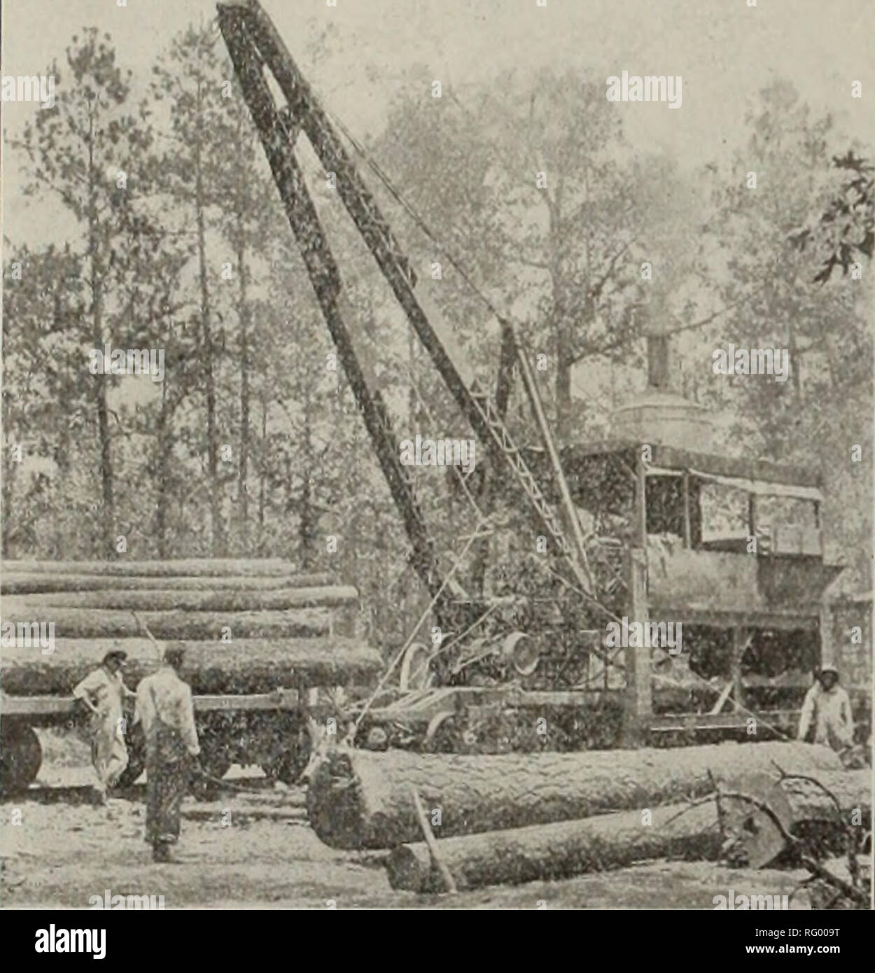 Canadian Forest Industries January June 1912 Lumbering Forests And Forestry Forest Products Wood Pulp Industry Wood Using Industries 6a Canada Lumberman And Woodworker Current Lumber Prices Continued No 2 Cuts 6 4 45 00 No 2 Canadian Forest Industries January June 1912 Lumbering Forests And Forestry Forest Products Wood Pulp Industry Wood Using Industries 6a Canada Lumberman And Woodworker Current Lumber Prices Continued No 2 Cuts 6 4 45 00 No 2