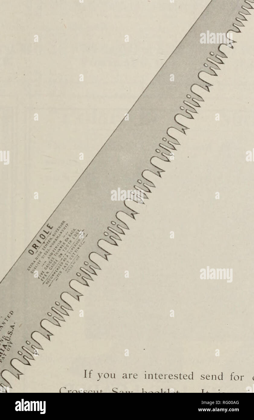 Crosscut Saws Stock Photos Crosscut Saws Stock Images Alamy