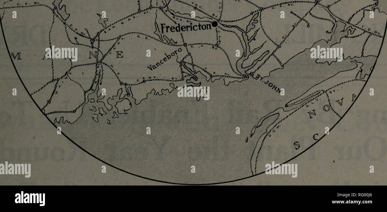 . Canadian forest industries January-June 1917. Lumbering; Forests and forestry; Forest products; Wood-pulp industry; Wood-using industries. NEW J&amp;W**, X 'V ^  7 1 'i. its â¢ '^S'Swl v / Â¥ â &amp;7â..... 4 &gt;â¢â¢.... .^-s- -&gt;/ ..&lt;;&quot;â¢ -â¢â¢S^.=r.**,i yVA,. Mills and Railway Connections Fredericton, N.B. Plaster Rock, N.B. Nelson, N.B. Edmundston, N.B. Baker Brook, N.B. Glendyne, Que. &quot; Escourt, Que. &quot; Cabano, Que. &quot; Whitworth, Que. (No. 1, No. 2) &quot; Railway connection C. P. R. C. P. R. I. C. R. C. P. R. or Temiscouata Ry. Temiscouata Ry. and N.T.R. N. T. R Stock Photo