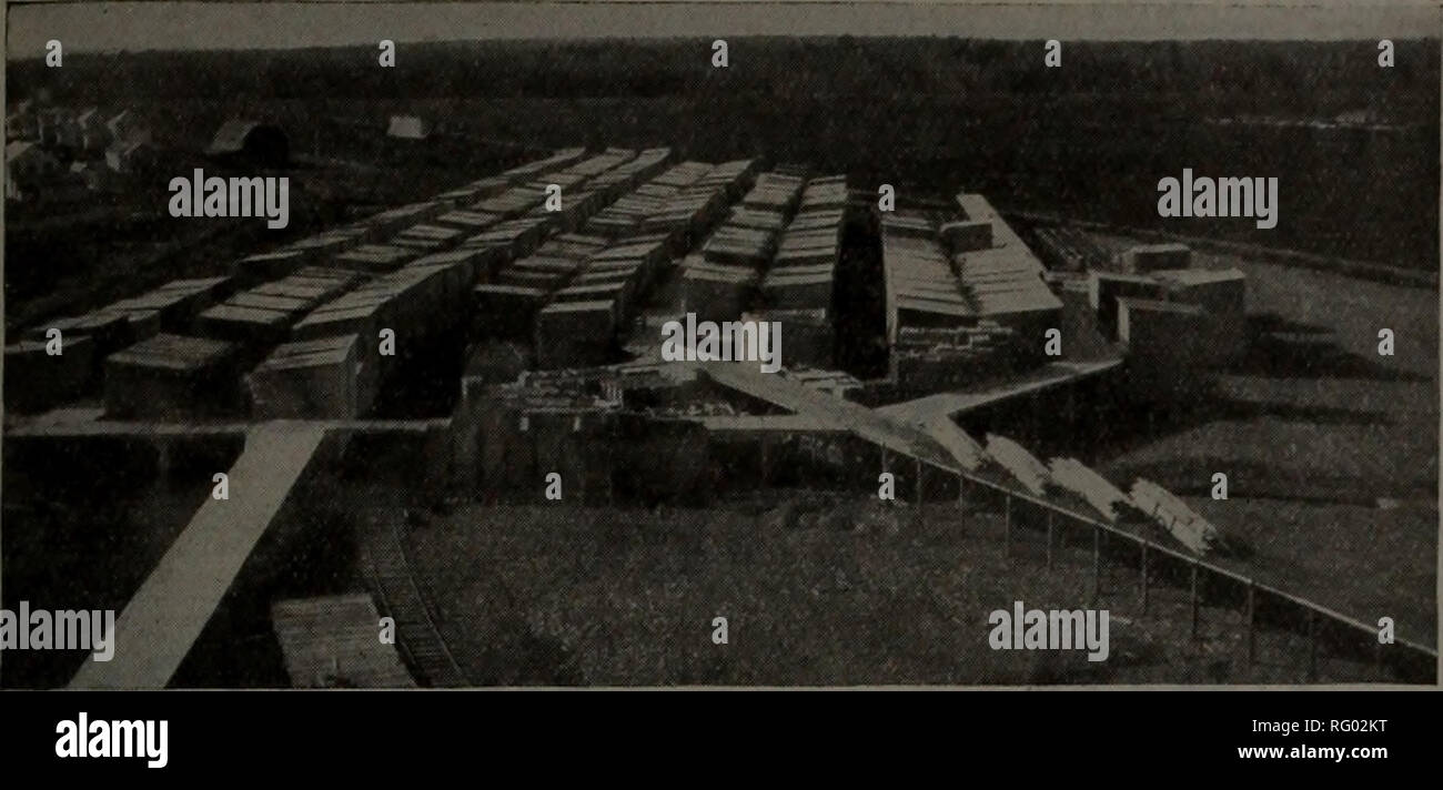 Canadian Forest Industries January June 1917 Lumbering Forests