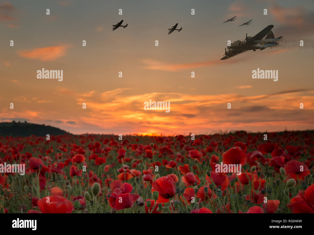 Lest we forget,scene of bomber planes flying over a poppy field as the sun goes down, Anzac day and Remembrance day. Stock Photo