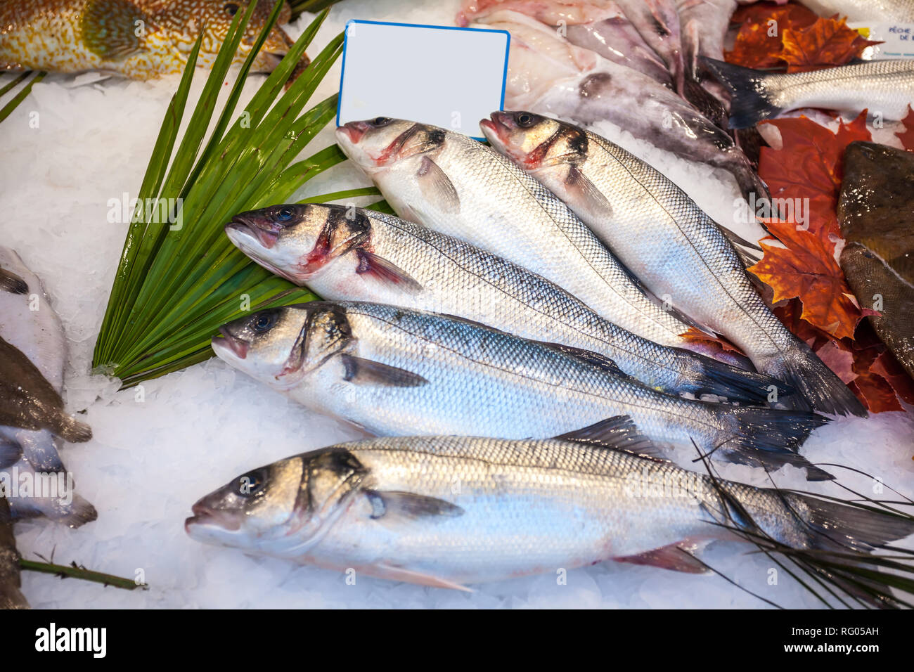 Fresh fish on ice in fish market Stock Photo Alamy