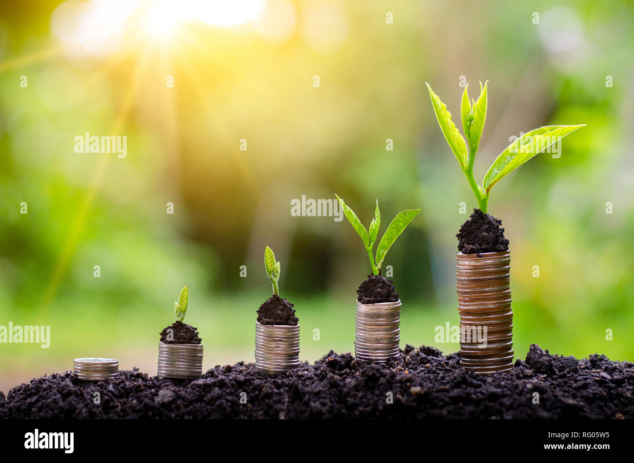 Money growth Saving money. Upper tree coins to shown concept of growing business Stock Photo