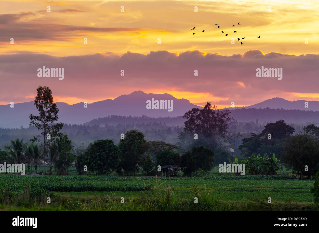 In the evening, the golden sky, mountain views in Chiang Mai Thailand Stock Photo