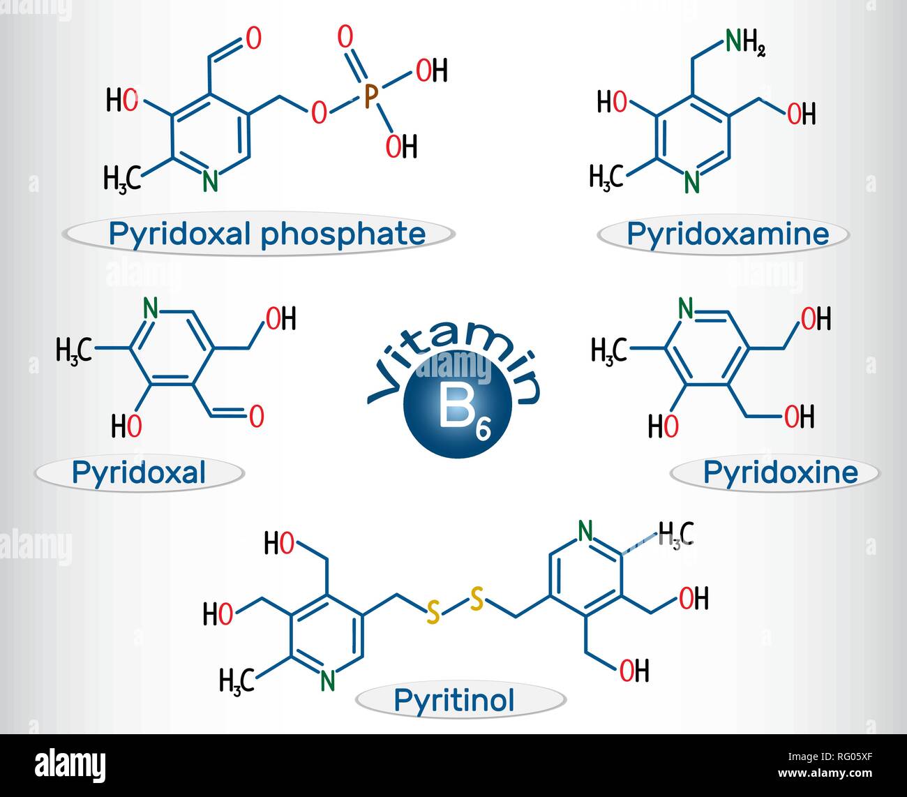 Vitamin B6 ( pyridoxal phosphate, pyridoxamine, pyridoxal , pyritinol, pyridoxine). Structural chemical formula and molecule model. Vector illustratio Stock Vector