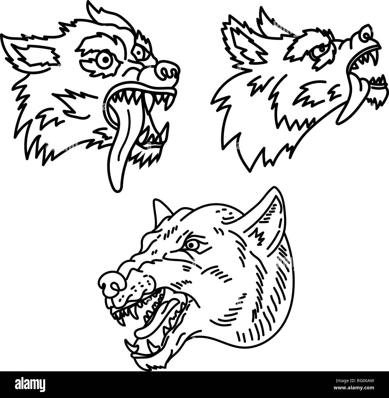 Premium Vector | Vector illustration head of a angry wolf