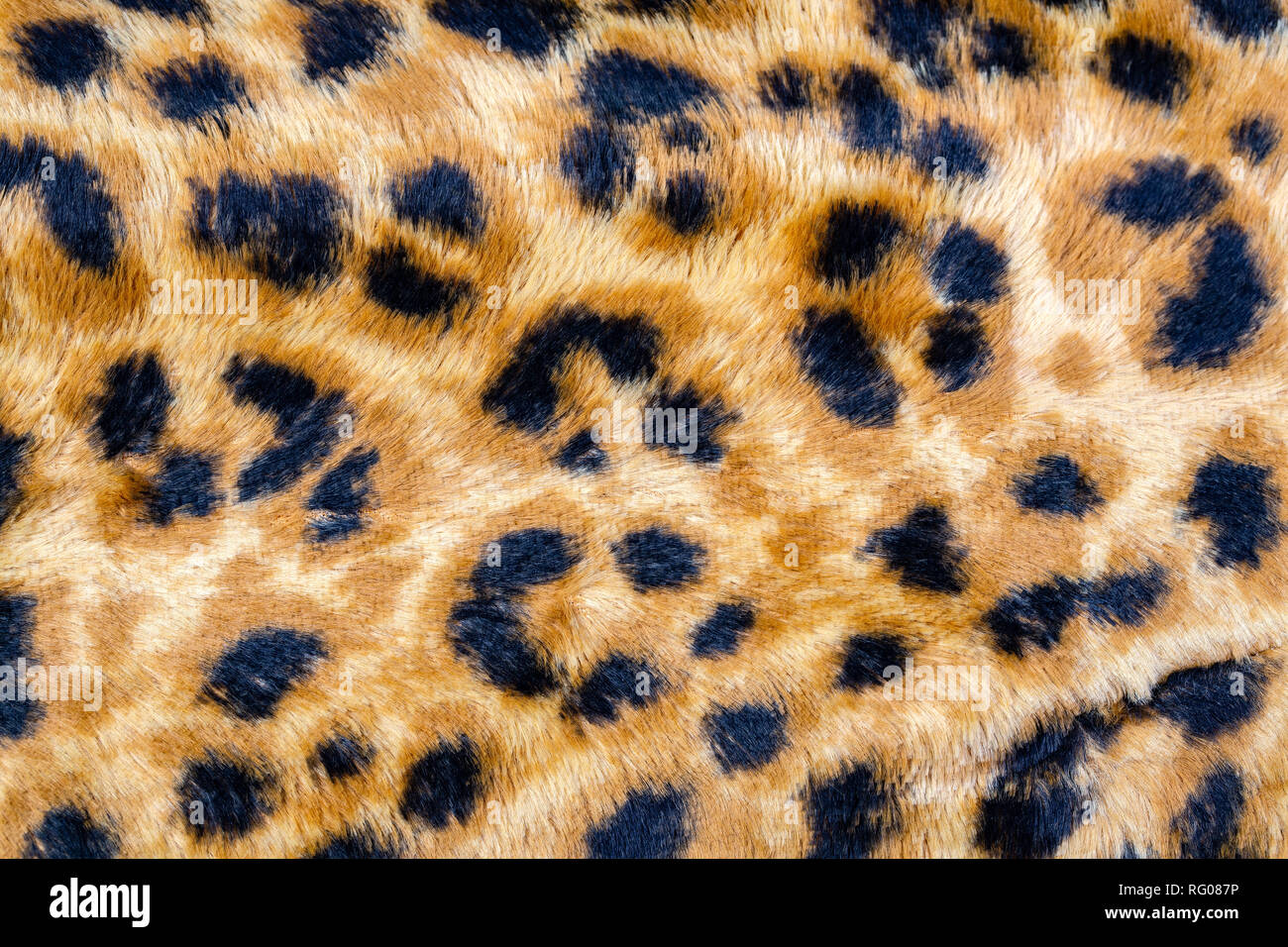 Leopard skin background hi-res stock photography and images - Alamy