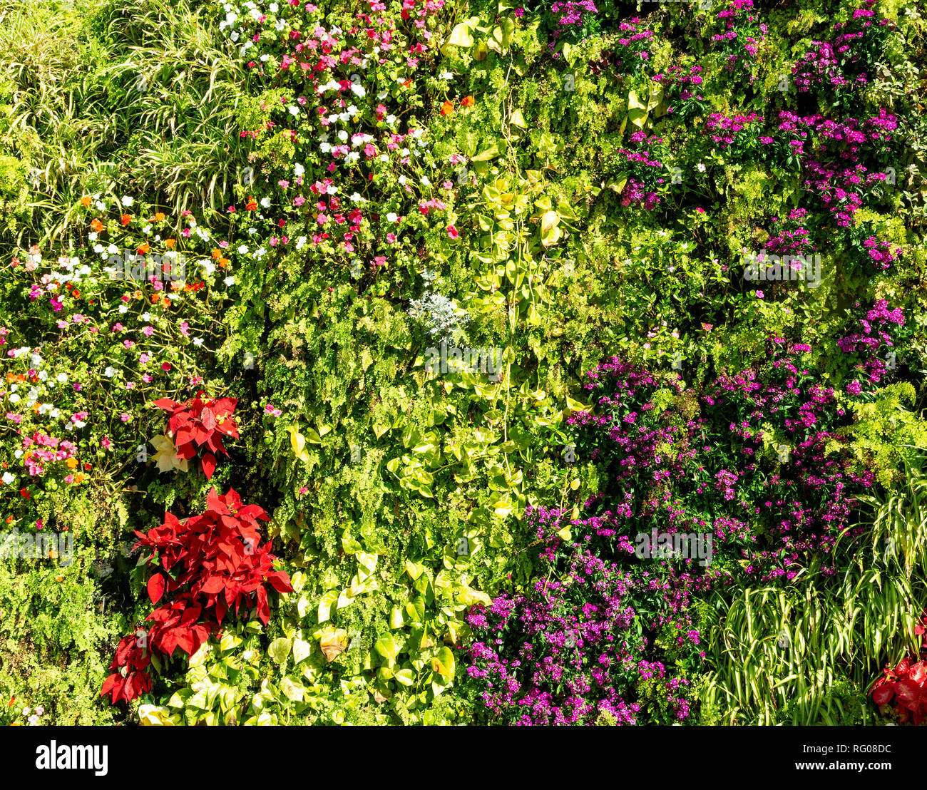 Flower wall texture hires stock photography and images Alamy