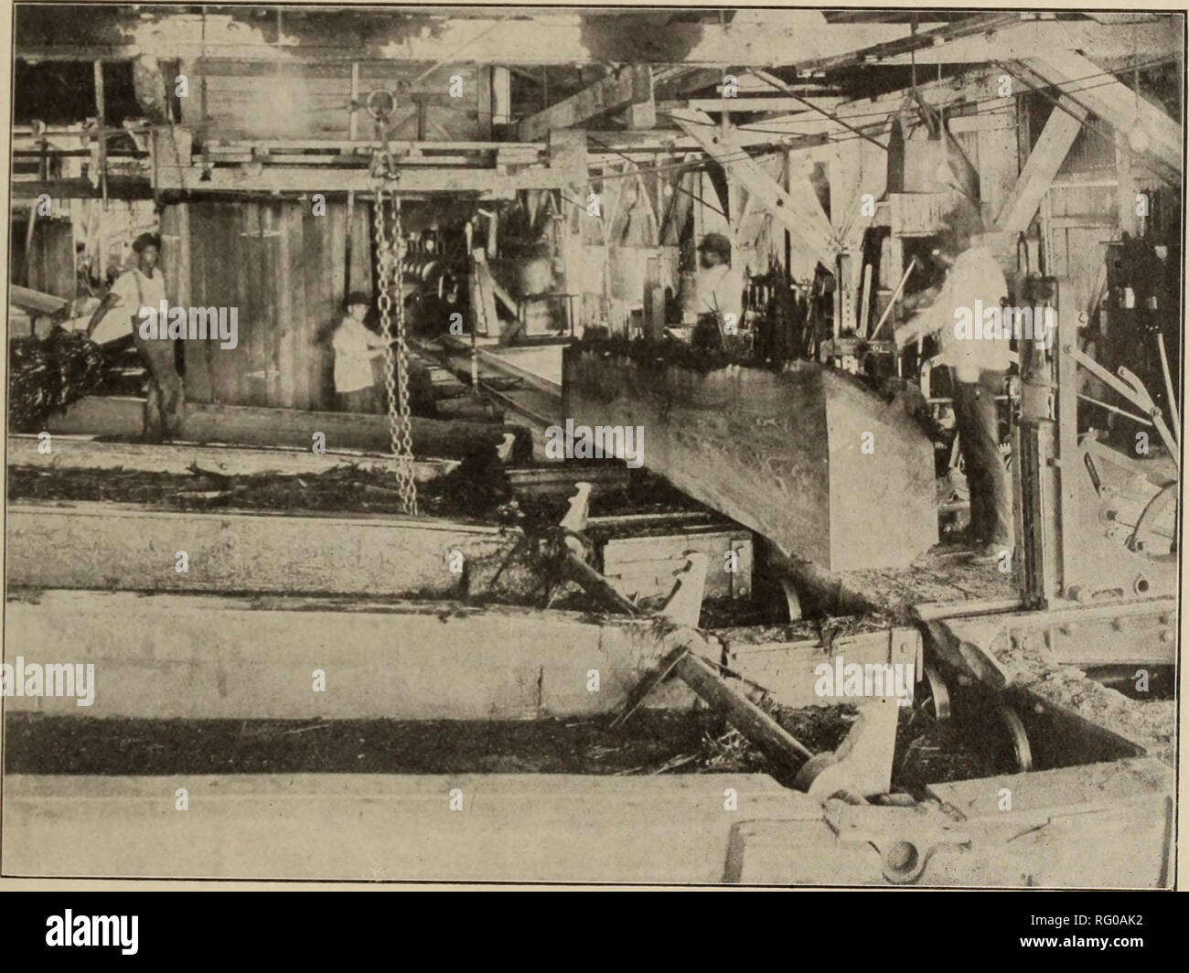 Canadian Forest Industries 1907 Lumbering Forests And Forestry Forest Products Wood Pulp Industry Wood Using Industries Wa L A Mahogany Does Not Show A More Beautiful Grain Than Does Louisiana Red Cypress For