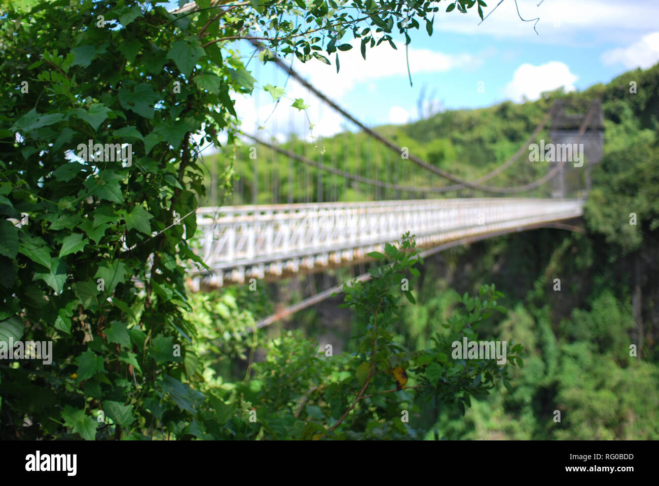 suspended bridge on la reunion island Stock Photo