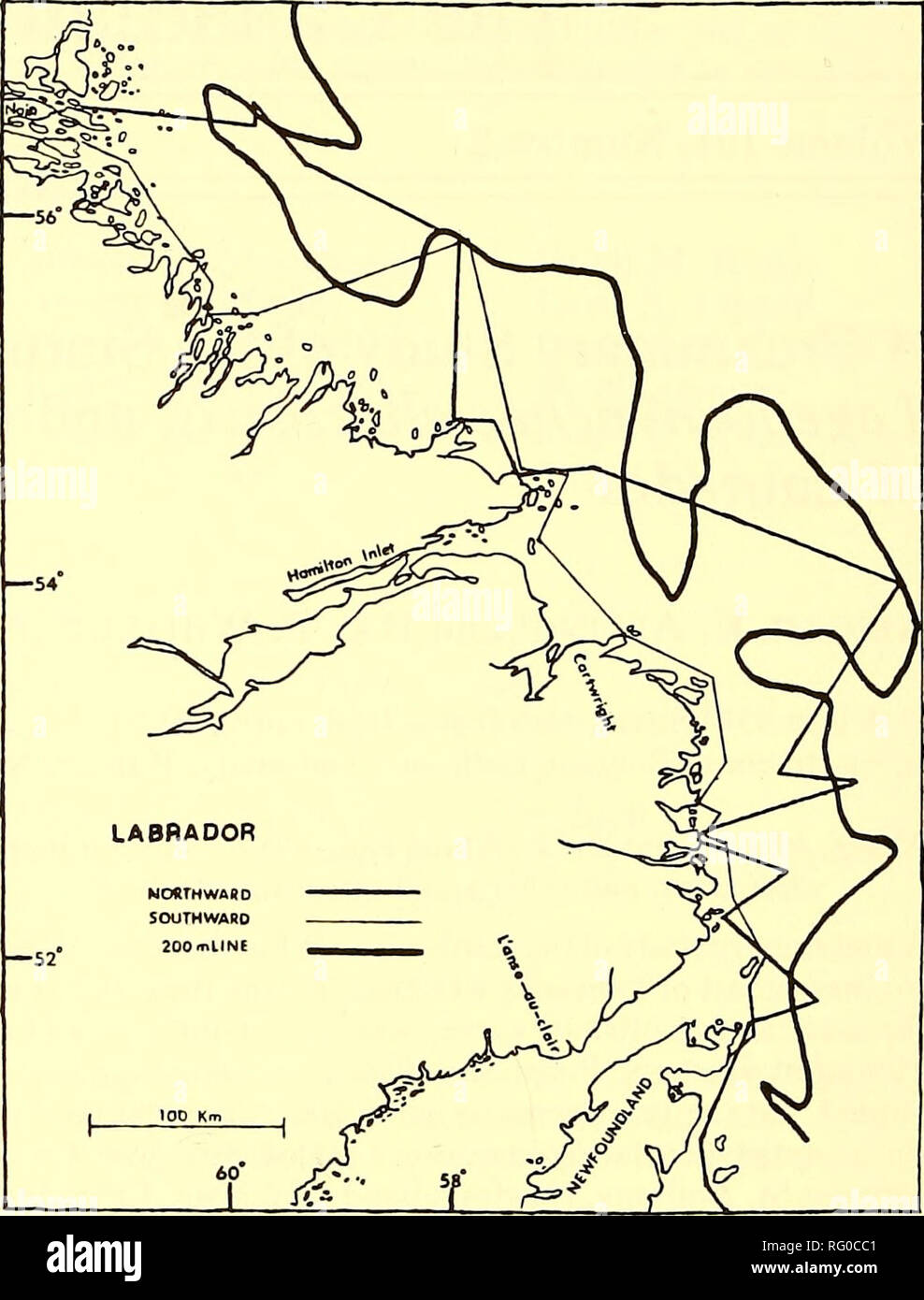 Nain labrador hi-res stock photography and images - Alamy