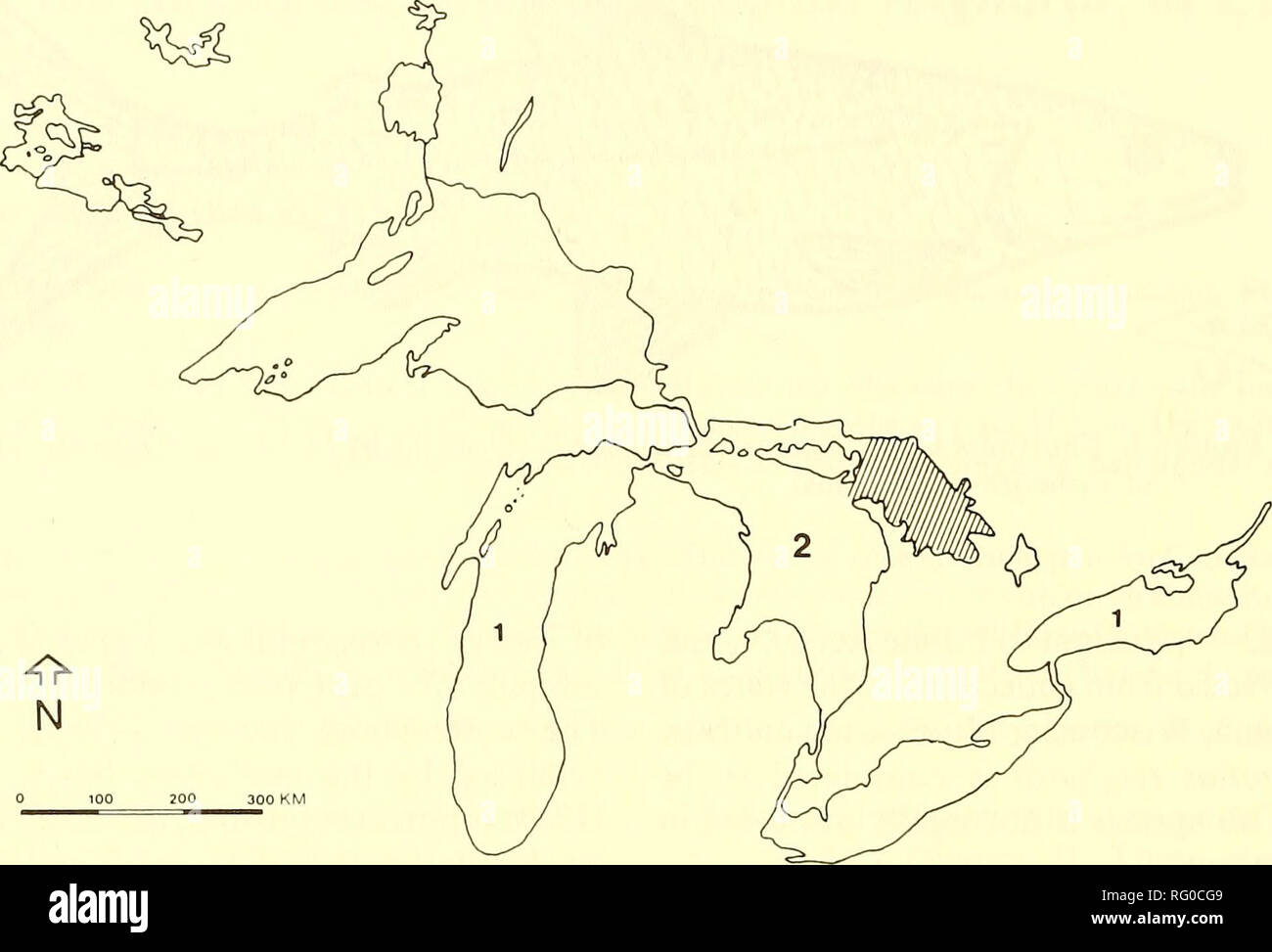 . The Canadian field-naturalist. 94 The Canadian Field-Naturalist Vol. 102. Figure 2. Distribution of the Shortnose Cisco in Canada. Extant, Georgian Bay (rare to common). 1. Extirpated (Todd 1980). 2. Rare, Lake Huron (T. Todd, personal communication). Habitat Little is known of the degree of habitat specialization of this species. Depth distribution is generally shallower than most other deepwater ciscos, and other than maintaining a close association with the bottom during spawning, Coregonus reighardi apparently inhabits the midwaters during the balance of the year (Stone 1944;Gray 1979).  Stock Photo