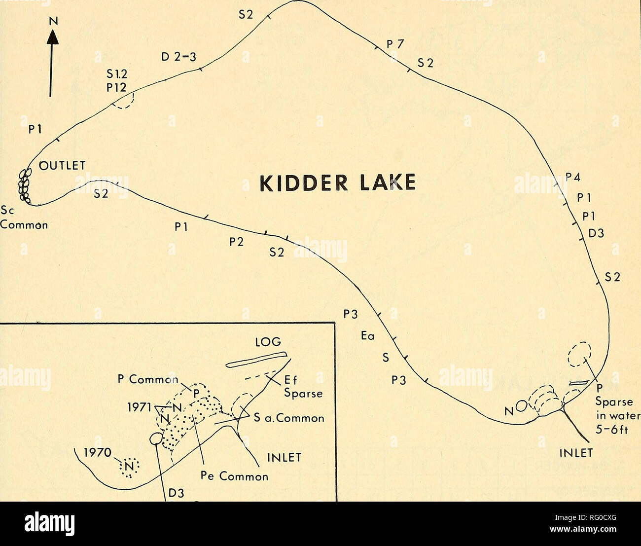 . The Canadian field-naturalist. 1974 Aiken and Gillett: Aquatic Plants in Gatineau Park 443. Pe Common Ea Common INLET Figure 3. Map of Kidder Lake. A number after an abbreviation signifies the number of plants of the species at that site; for example, P4 indicates four plants of Potamogeton amplifolius. D=Dulichium arundinaceum, Ea=Eleocharis acicularis, Ei=Equisetumfluviatile, N=Nuphar variegatum, P=Potamogeton amplifolius, Pe=P. epihydrus, S=Spar- ganium (did not fruit in 1971), Sa=5. androcladum, Sc=Sparganium chlorocarpum, Sl=Sagittaria latifolia. of this plant occurred in several other  Stock Photo