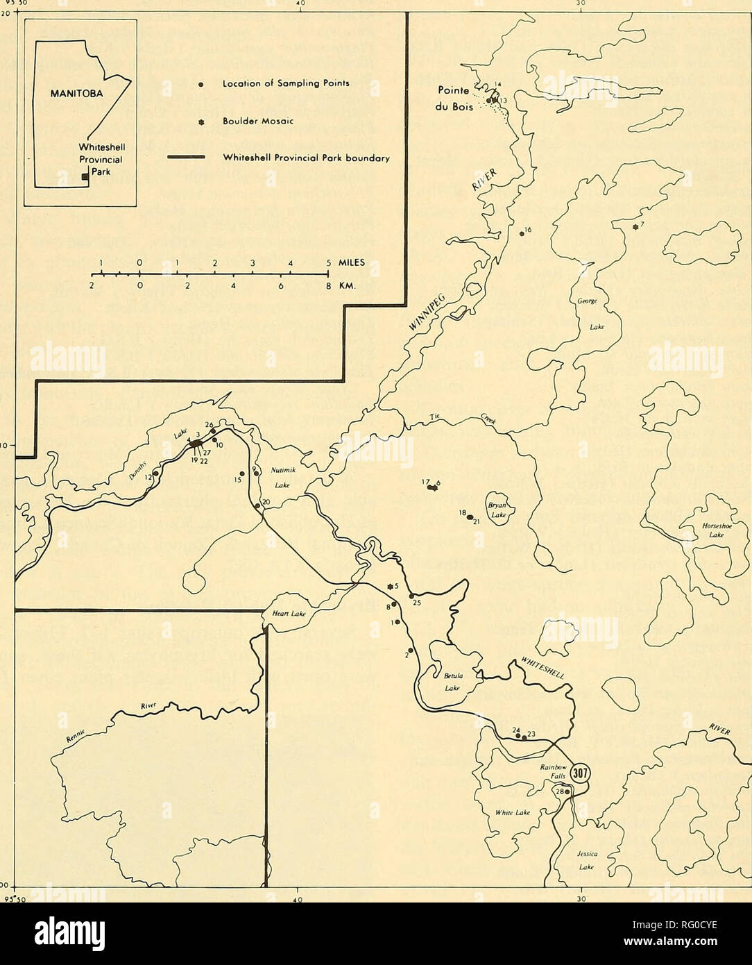 . The Canadian field-naturalist. 1973 Stringer and Stringer: Whiteshell Provincial Park Bryophytes 421. STI)INGER/grl^l/73 Figure 2. Western part of Whiteshell Provincial Park, showing bryophyte collecting sites 1-10, 12-28. Amblystegium varium (Hedw.) Lindb. Anomodon attenuatiis (Hedw.) Hiib. Anomodon rostratiis (Hedw.) Schimp. Aulacomnium palustre (Hedw.) Schwaegr. Barbula convoluta Hedw. Barbida imguiculata Hedw. Bartramia pomiformis Hedw. Brachythecium campestre (C. Miill.) B.S.G.. Please note that these images are extracted from scanned page images that may have been digitally enhanced fo Stock Photo