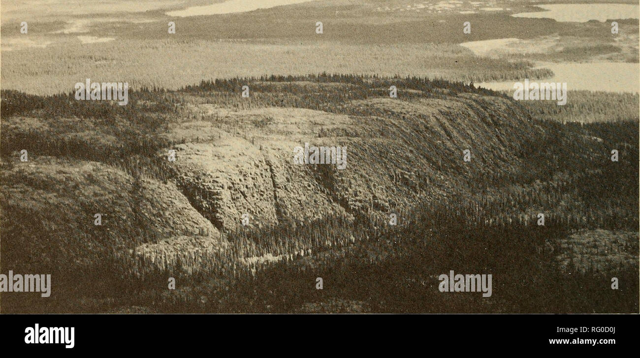 . The Canadian field-naturalist. 356 The Canadian Field-Naturalist Vol. 93. Figure 1. The Sutton Ridges, a series of Precambrian outcrops penetrating the Paleozoic wetlands characteristic of the Hudson Bay Lowland. This Aquatuk Lake 'cuesta' has an elevation ca. 275 m asl. (CAN, DAO, TRT) nor with any mention made of it in liis northern Ontario fieldnotes (CAN). It is not included by Scoggan (1978) in the flora of Ontario. The specimens collected (CAN, TRT) are typically awned, with the narrow leaves of var. borealis. It is also known from a third Ontario location (55°N, 84°43'W: abandoned Mid Stock Photo