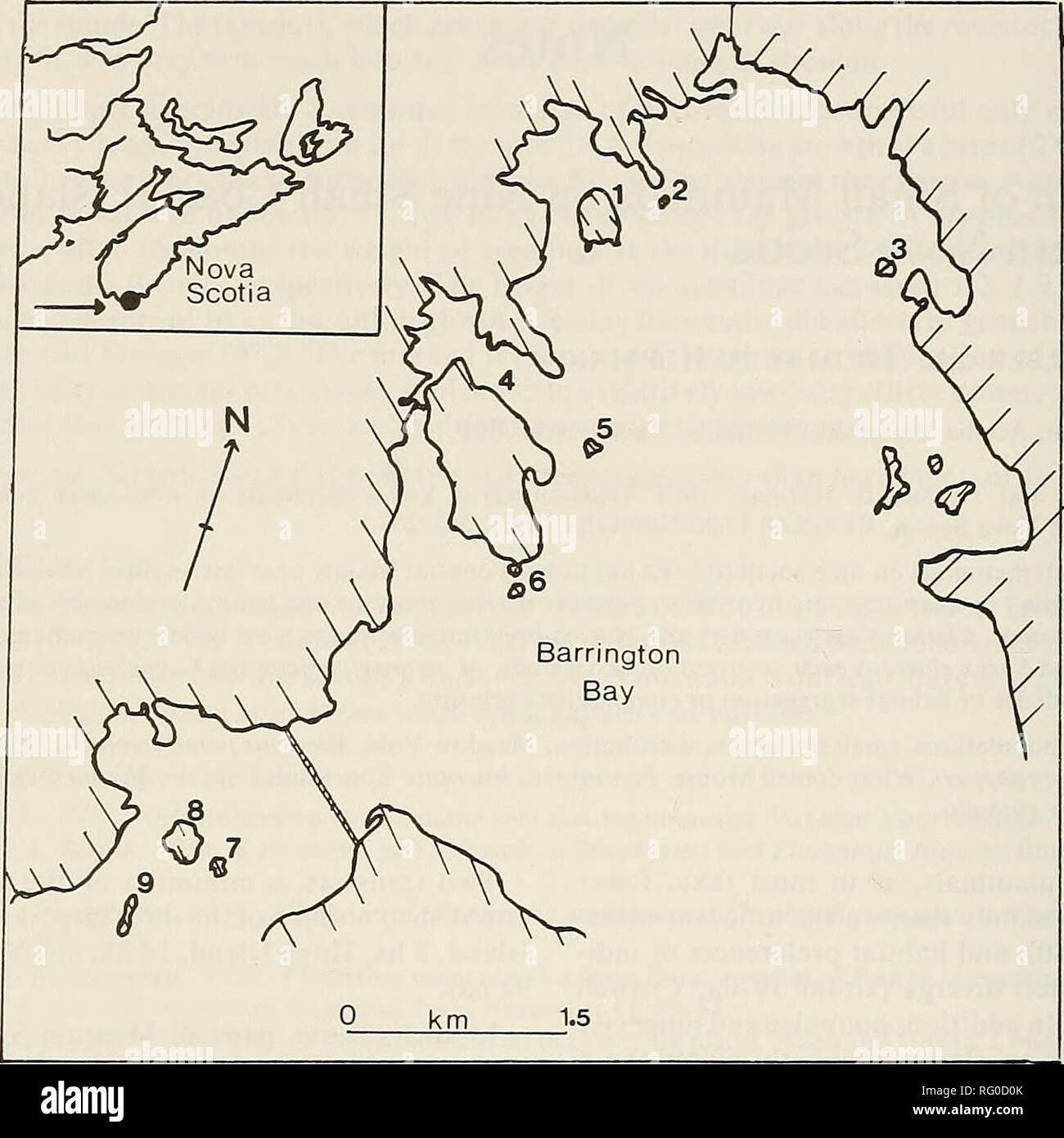 . The Canadian field-naturalist. 246 The Canadian Field-Naturalist Vol. 98. Figure I. Study area. 1 — Hogg Is., 2 — Thrum Cap; 3 — Blackberry Is.; 4 — Sherosels.; 5 — One Tree Is.; 6 — Bald Thrum; 7 — Cove Thrum; 8 — Banks Is.; 9 — Pound Is. leucopus are both woodland species, and generally require larger islands (Crowell 1973). The islands containing only C. gapperi were predomi- nantly wooded, but contained some habitat suitable for Microtus. The apparent absence of the latter from these two islands may only reflect the extremely low numbers of M. pennsylvanicus on the adjacent mainland at t Stock Photo