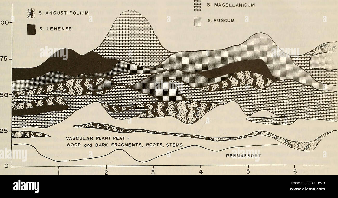 Bryophyte fossil hires stock photography and images Alamy