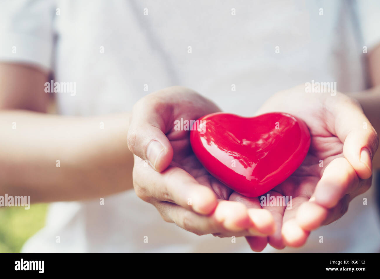 Close up female hands giving red heart on hands Stock Photo