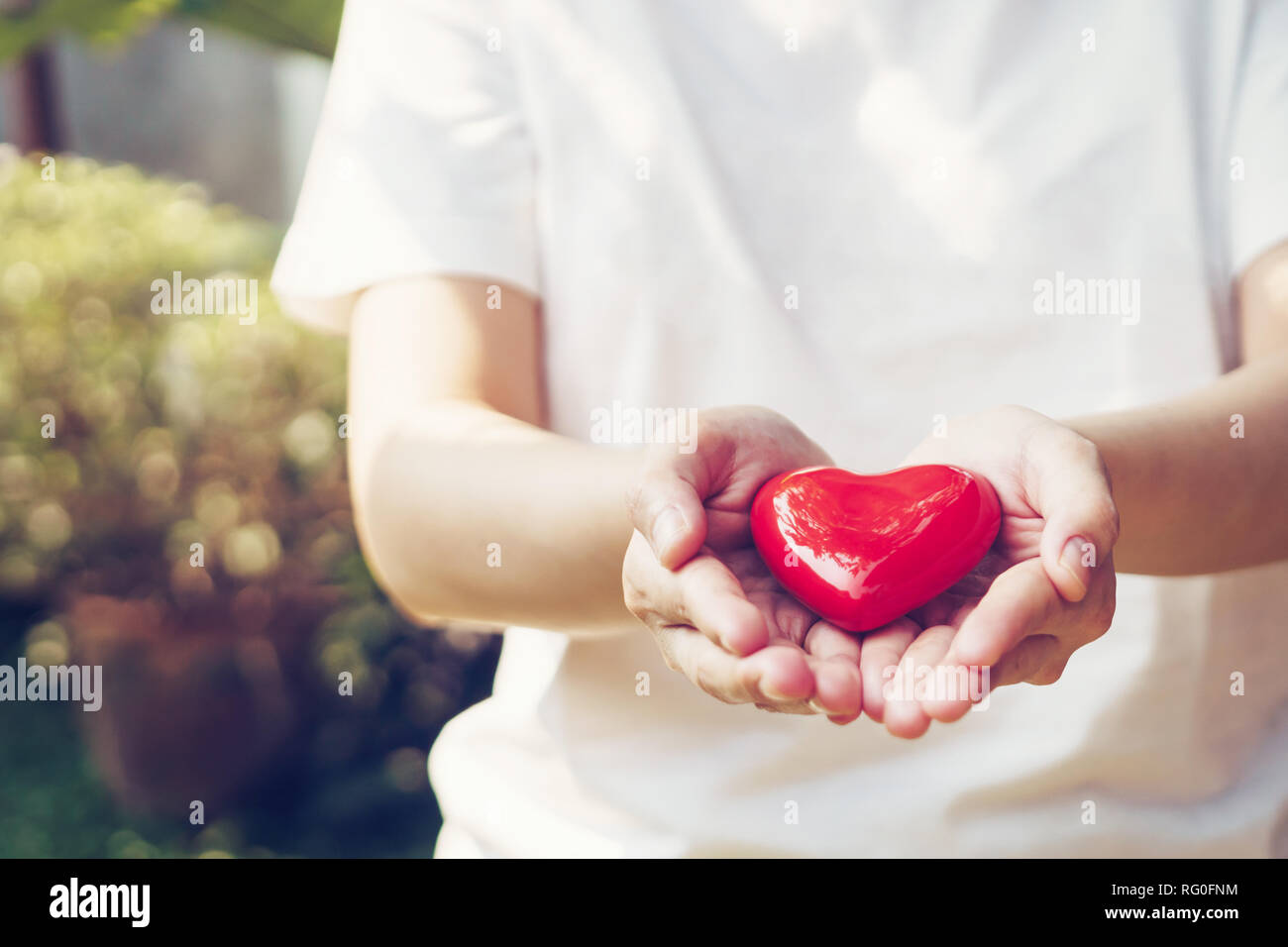 Close up female hands giving red heart on hands Stock Photo