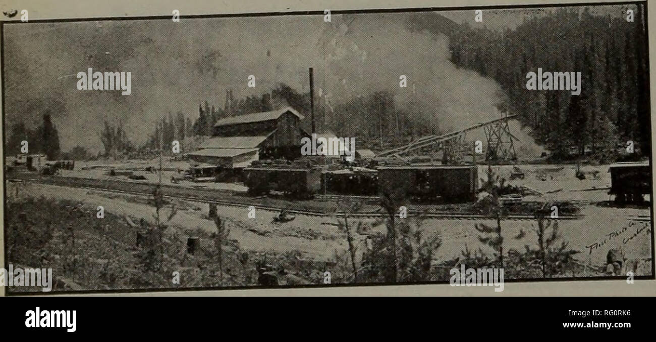 . Canadian forest industries 1908. Lumbering; Forests and forestry; Forest products; Wood-pulp industry; Wood-using industries. io CANADA LUMBERMAN AND WOODWORKER Authorized Capital $250,000 (Â£$0,000) Imperial Timber and Trading Co., Ltd P.O. Box 930, Vancouver, B. C. Canada Export Lumber Standing Timber REDWOOD (Sequoia). Can be shipped in Small Parcels. Straight or Mixed Cargoes THE EAST KOOTENAY LUMBER COMPANY Limited Saw and Planing Mills at Ryan. Cr^nbrook arvd Jaffray. B. C. Capacity 150.000 Feet per Day.. BUY E. K. L. Co.'s LARCH PINE AND FIR Lumber, Timfcer, and all kinds of Mouldings Stock Photo