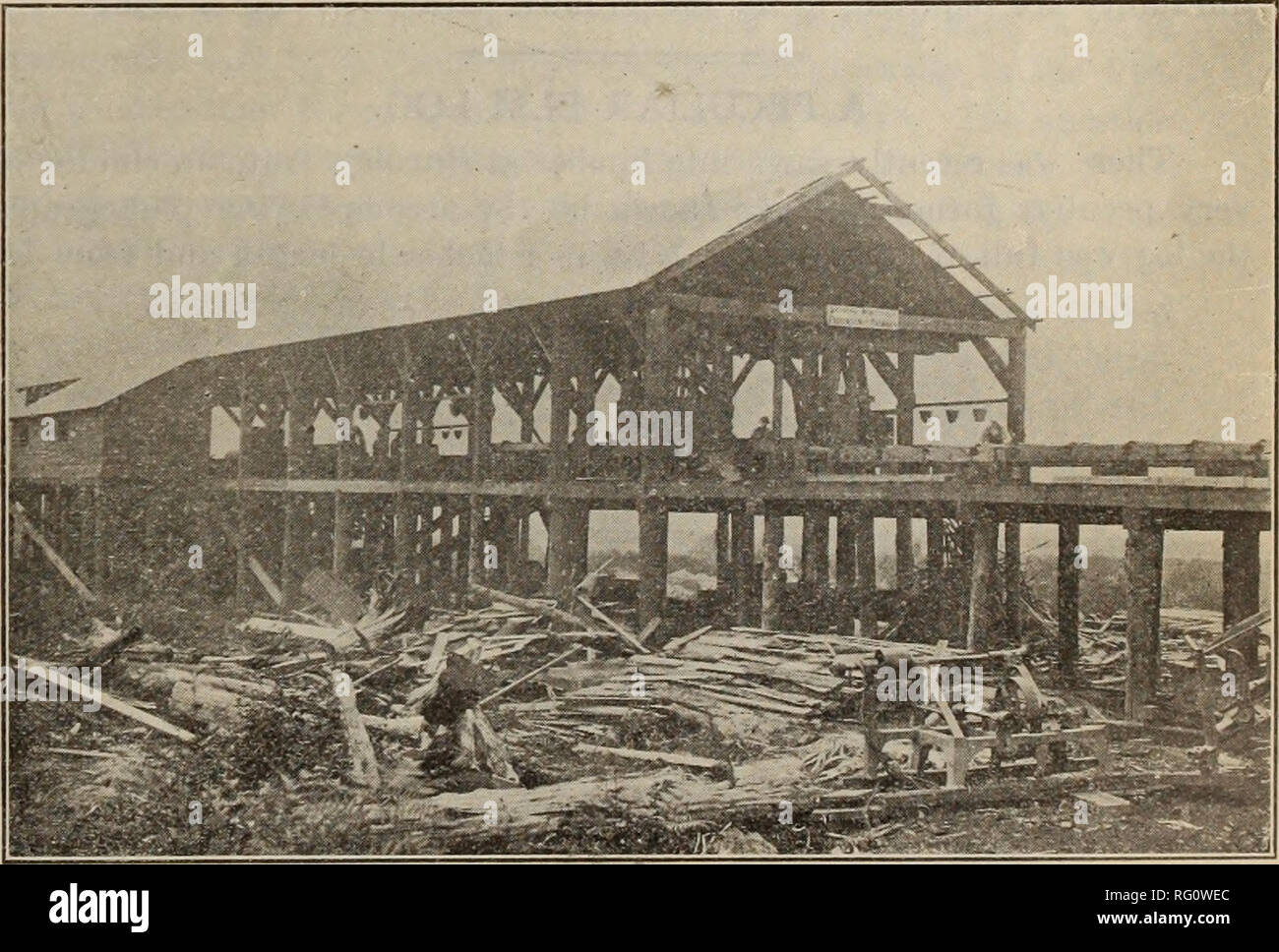 Power for sawmills hires stock photography and images Alamy