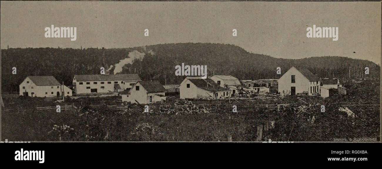. Canadian forest industries 1901-1902. Lumbering; Forests and forestry; Forest products; Wood-pulp industry; Wood-using industries. Lake Edward Saw Mill of Whitehead &amp; Turner. spruce, bouleau and birch. The mill at Lake Edward is equipped with circular saws, while that at Pearl Lake contains steam feed circular and gang. The property is being operated, and, we understand, will be disposed of at a moderate price. An advertisement offering the property for sale will be found in the weeklv edition. QUESTIONS AND ANSWERS. &quot;R. W. R.,'-' Wales, writes :—Kindly state whether letters posted  Stock Photo