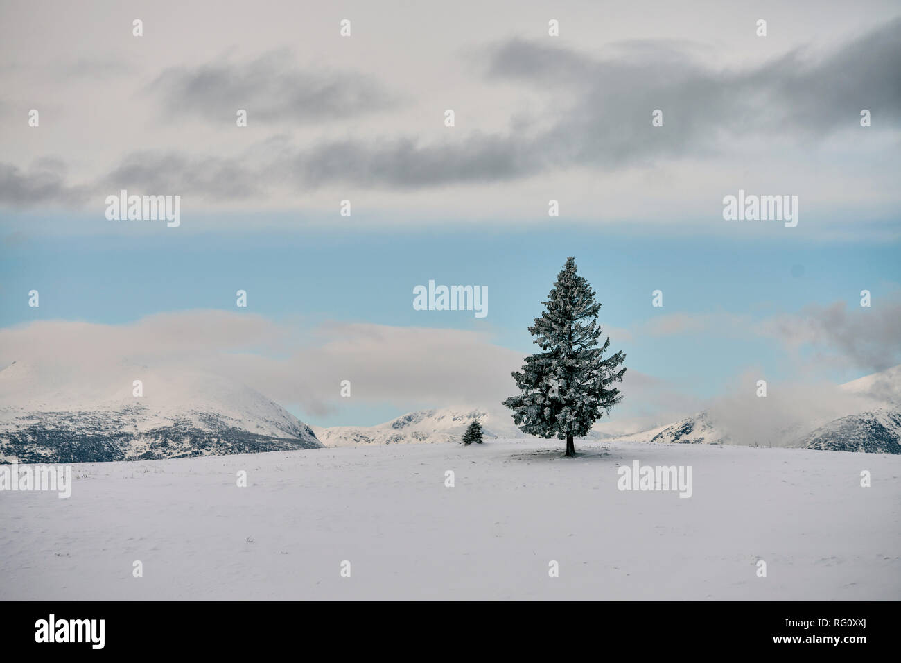 Beautiful Winter Landscape photography in Bulgaria Stock Photo - Alamy