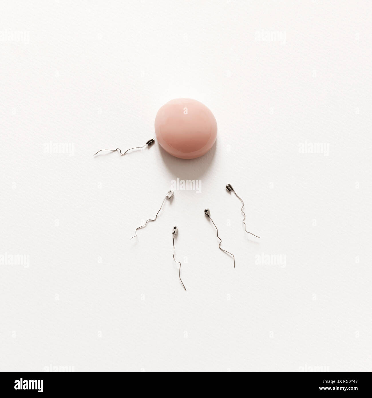 Fertilization of egg hi-res stock photography and images - Alamy