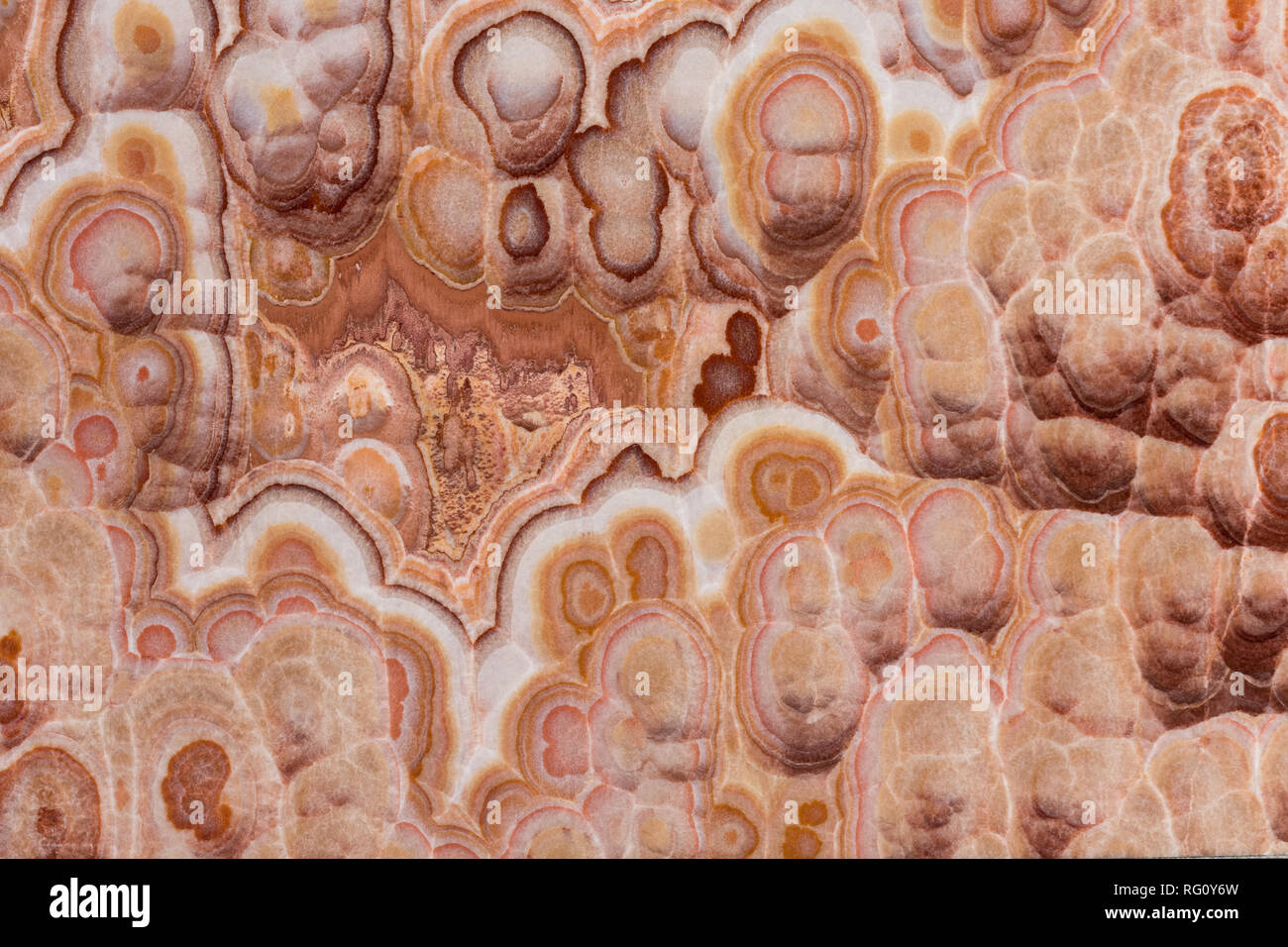 Onyx marble beige background for your unique project. Stock Photo