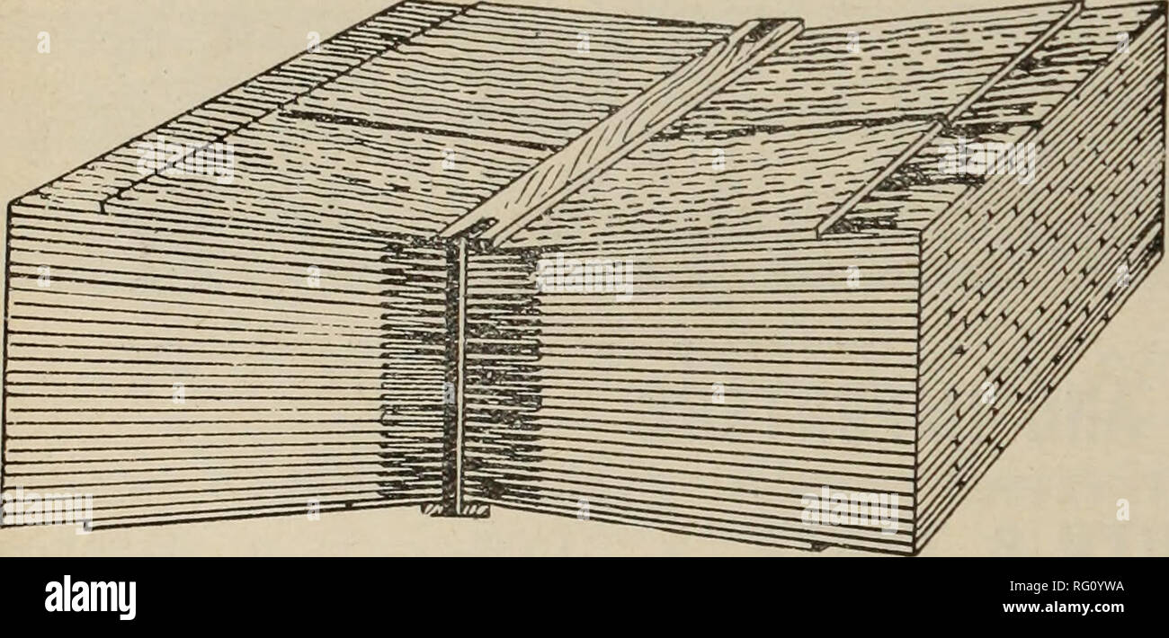 Canadian Forest Industries 1907 Lumbering Forests And Forestry