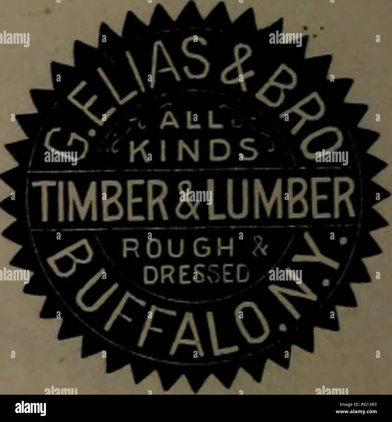 Canadian Forest Industries 1894 1896 Lumbering Forests And